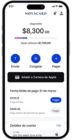 Haz clic en Añadir a Apple Pay
